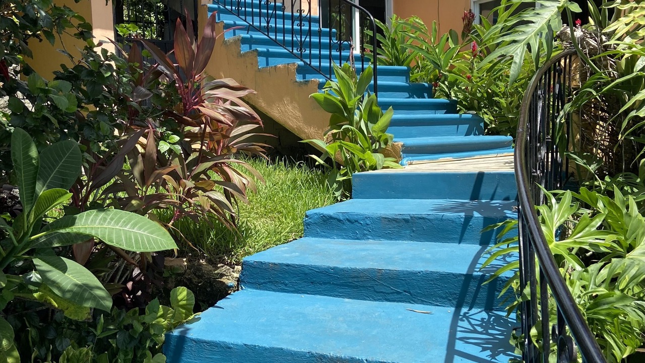 Photo of Outdoor in Bacalar
