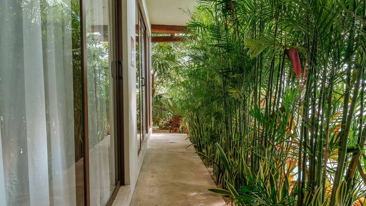 Photo of Outdoor in Bacalar