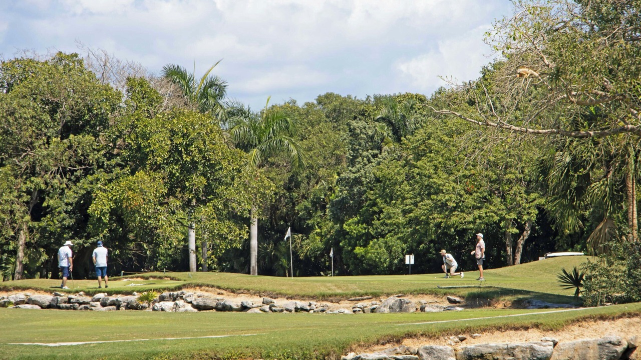 Photo of Others in Playacar Fase II