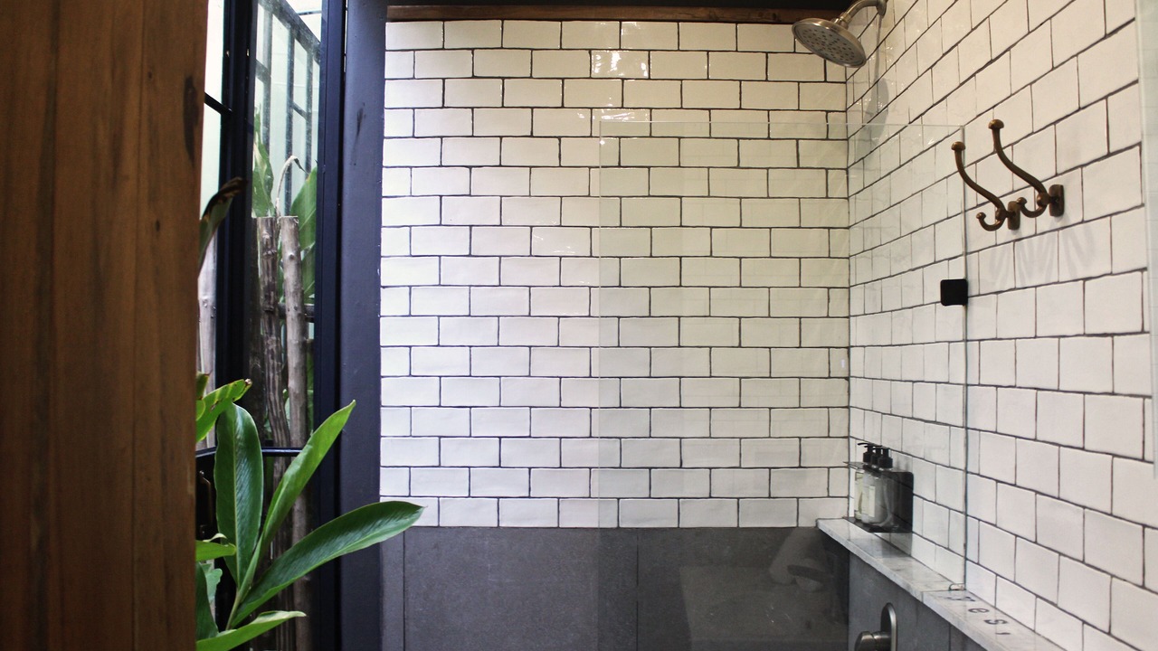 Photo of Bathroom in Zama