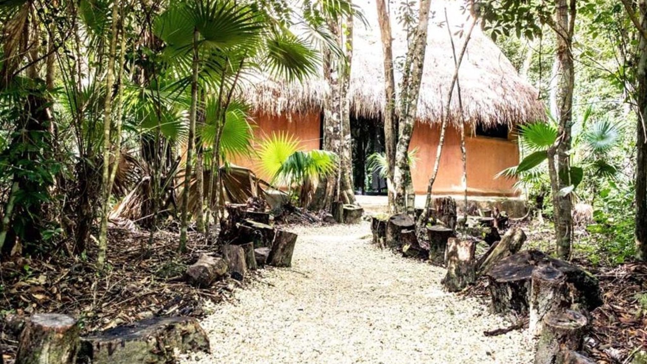 Photo of Outdoor in Leona Vicario