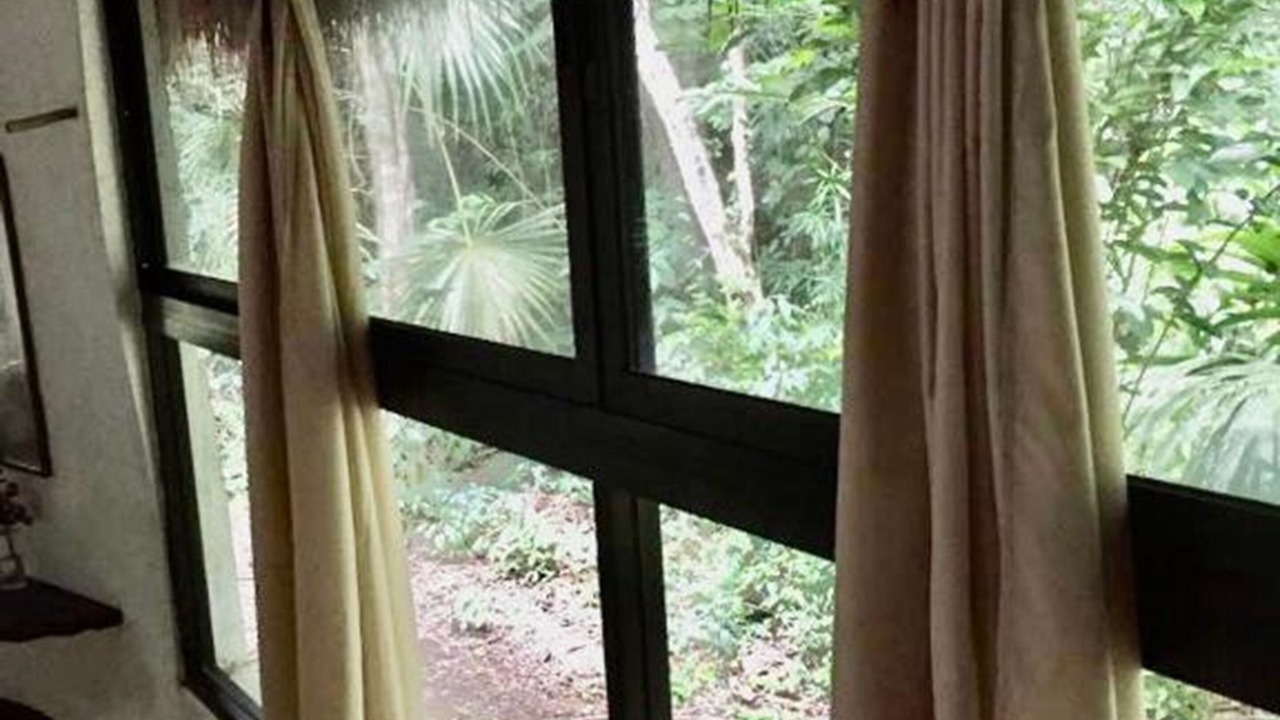 Photo of Outdoor in Leona Vicario