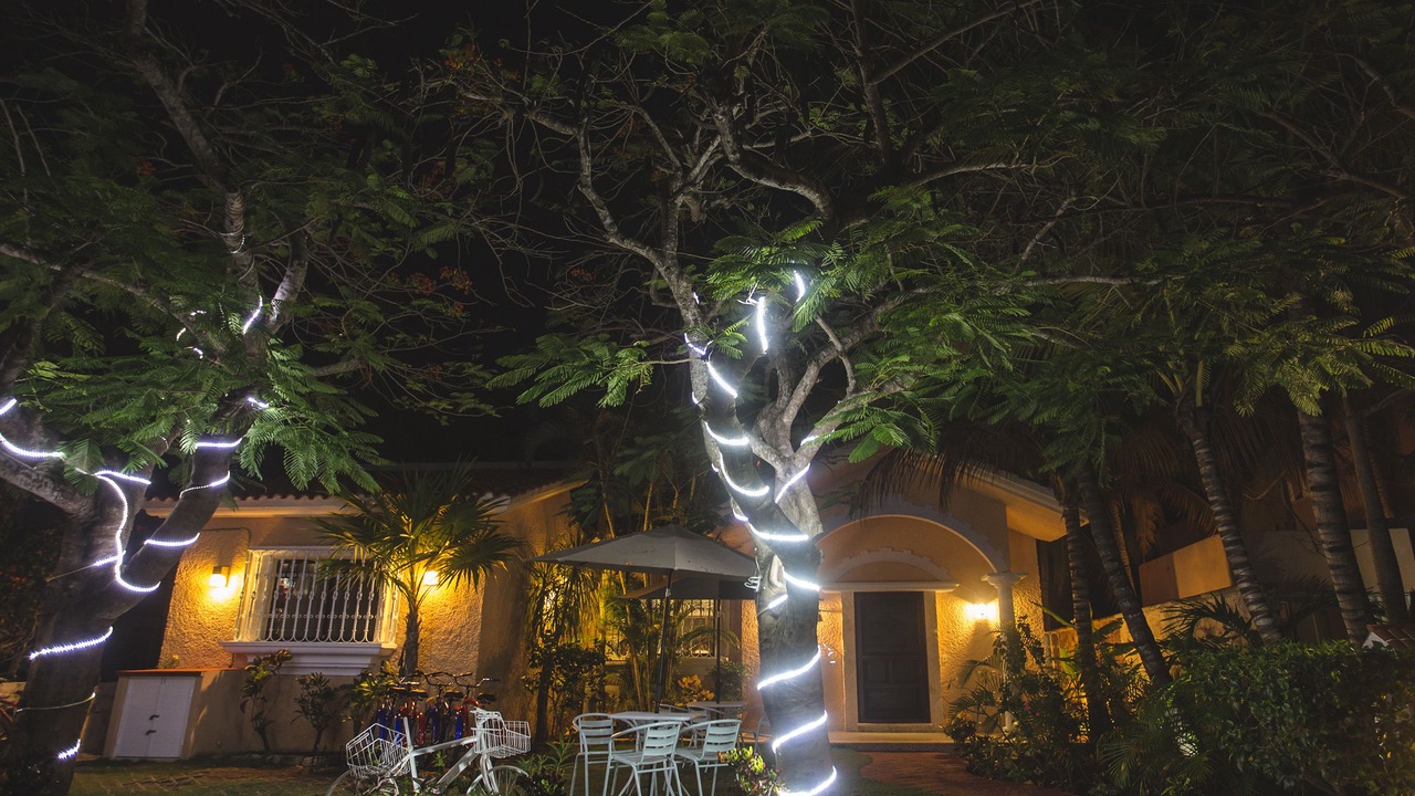 Photo of Outdoor in Puerto Aventuras