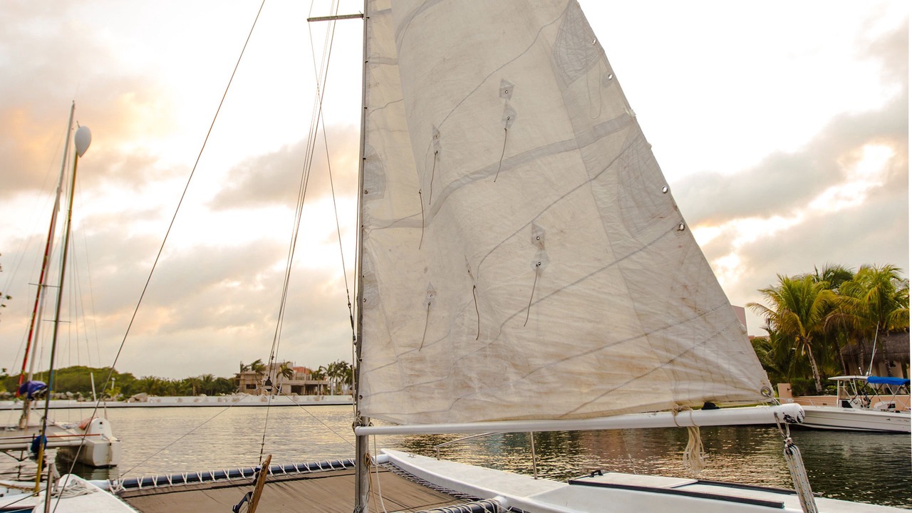 Photo of Others in Puerto Aventuras