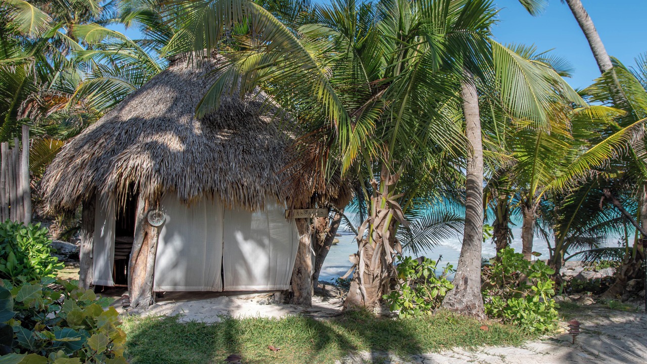 Photo of Others in Playa Paraiso