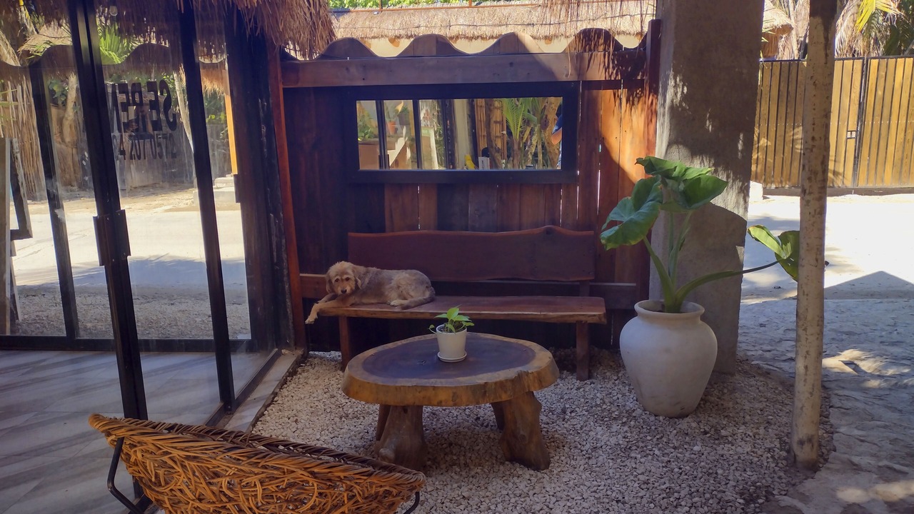 Photo of Outdoor in Zona Hotelera