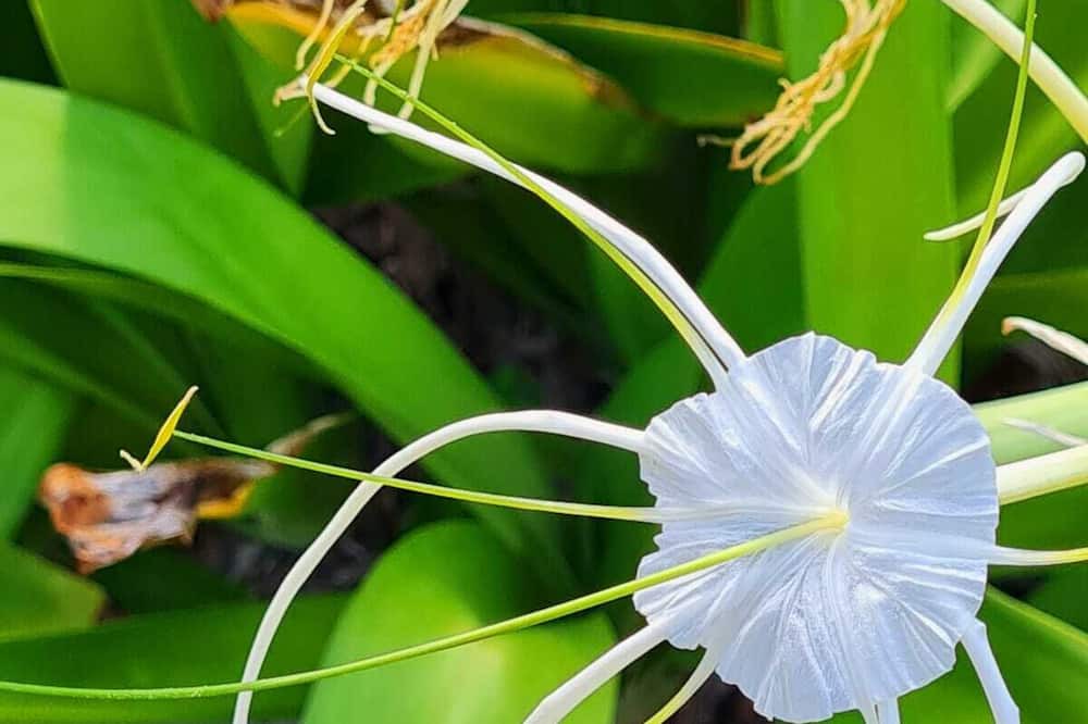 Photo of Outdoor in Mahahual