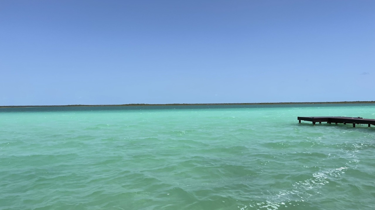 Photo of Others in Chetumal