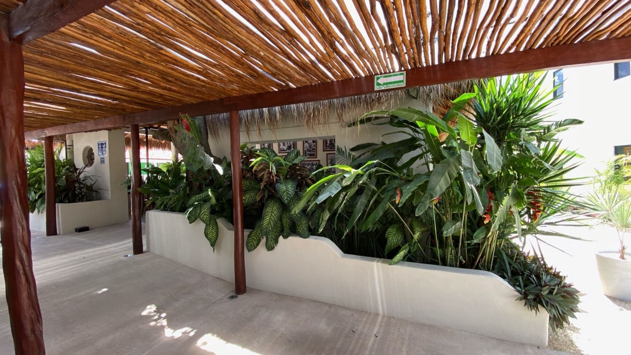 Photo of Outdoor in Mario Villanueva Madrid