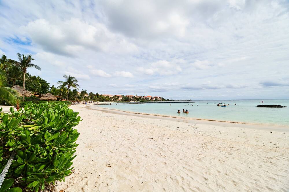 Photo of Others in Puerto Aventuras