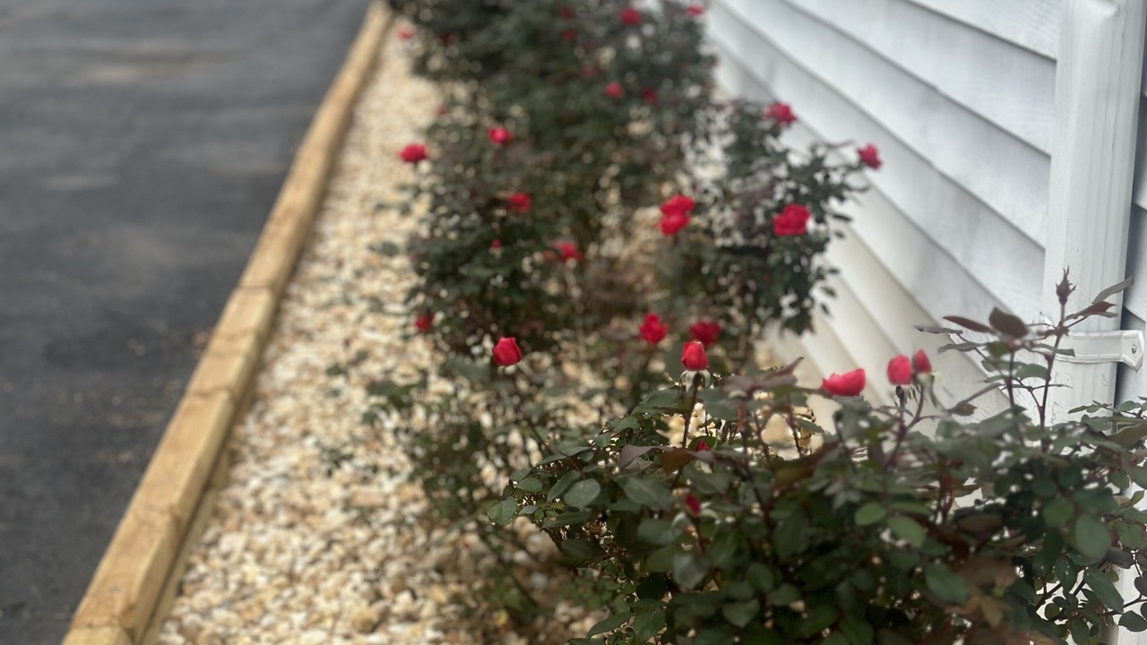 Photo of Outdoor in Greensboro