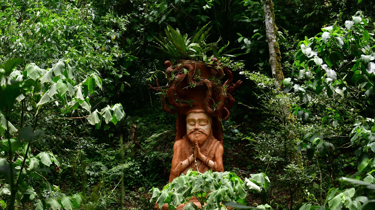 Photo of Outdoor in Tlalnelhuayocan