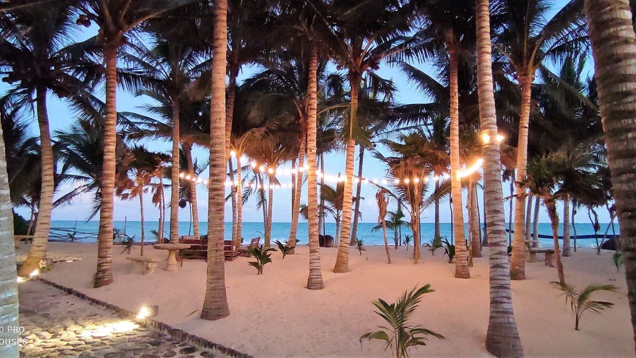 Photo of Others in Costa Mujeres