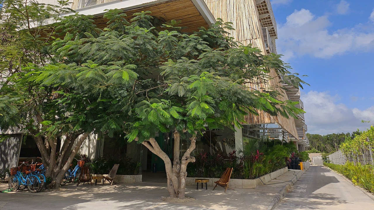 Photo of Outdoor in Ekbalan