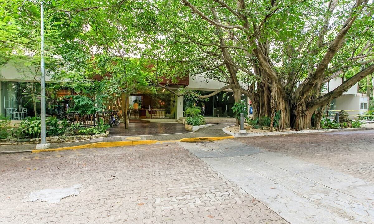 Photo of Outdoor in Ejidal