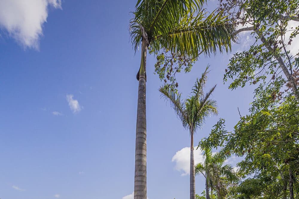 Photo of Outdoor in Costa Maya