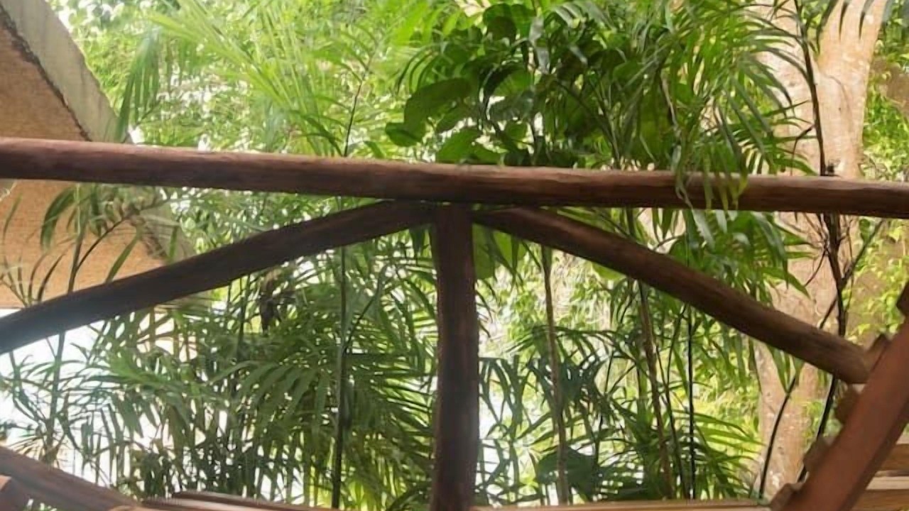 Photo of Outdoor in Mario Villanueva Madrid