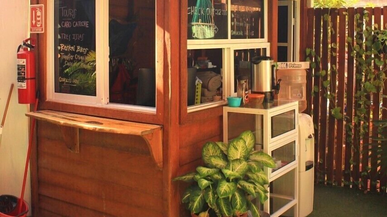 Photo of Others in Downtown Holbox
