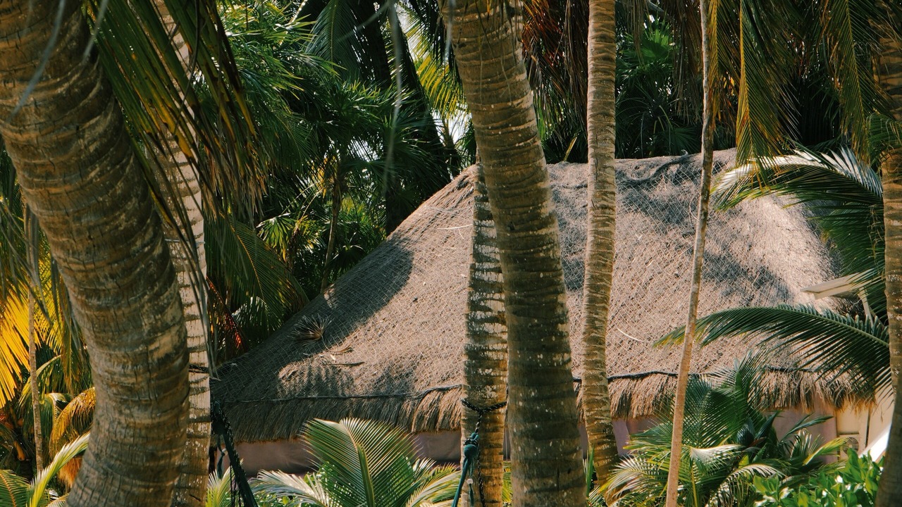 Photo of Outdoor in Punta Allen
