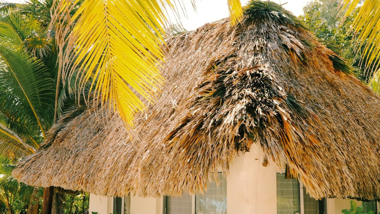 Photo of Outdoor in Punta Allen