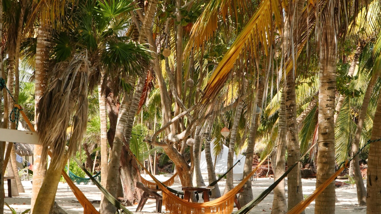 Photo of Outdoor in Punta Allen