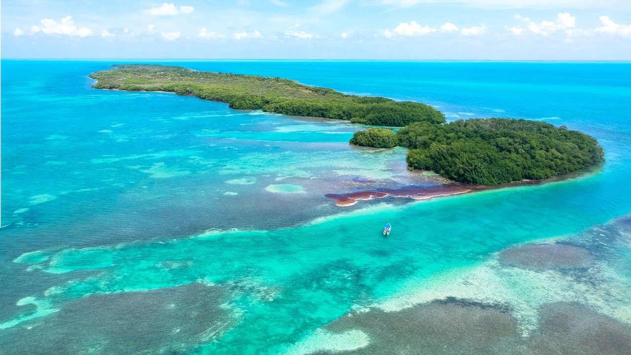 Photo of Others in Punta Allen
