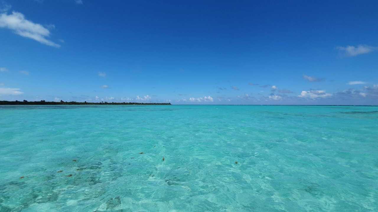 Photo of Others in Punta Allen