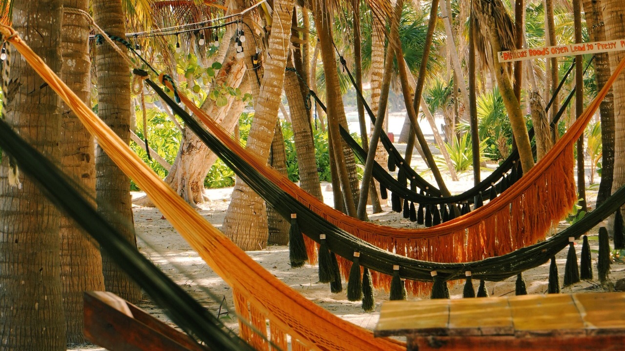 Photo of Livingroom in Punta Allen