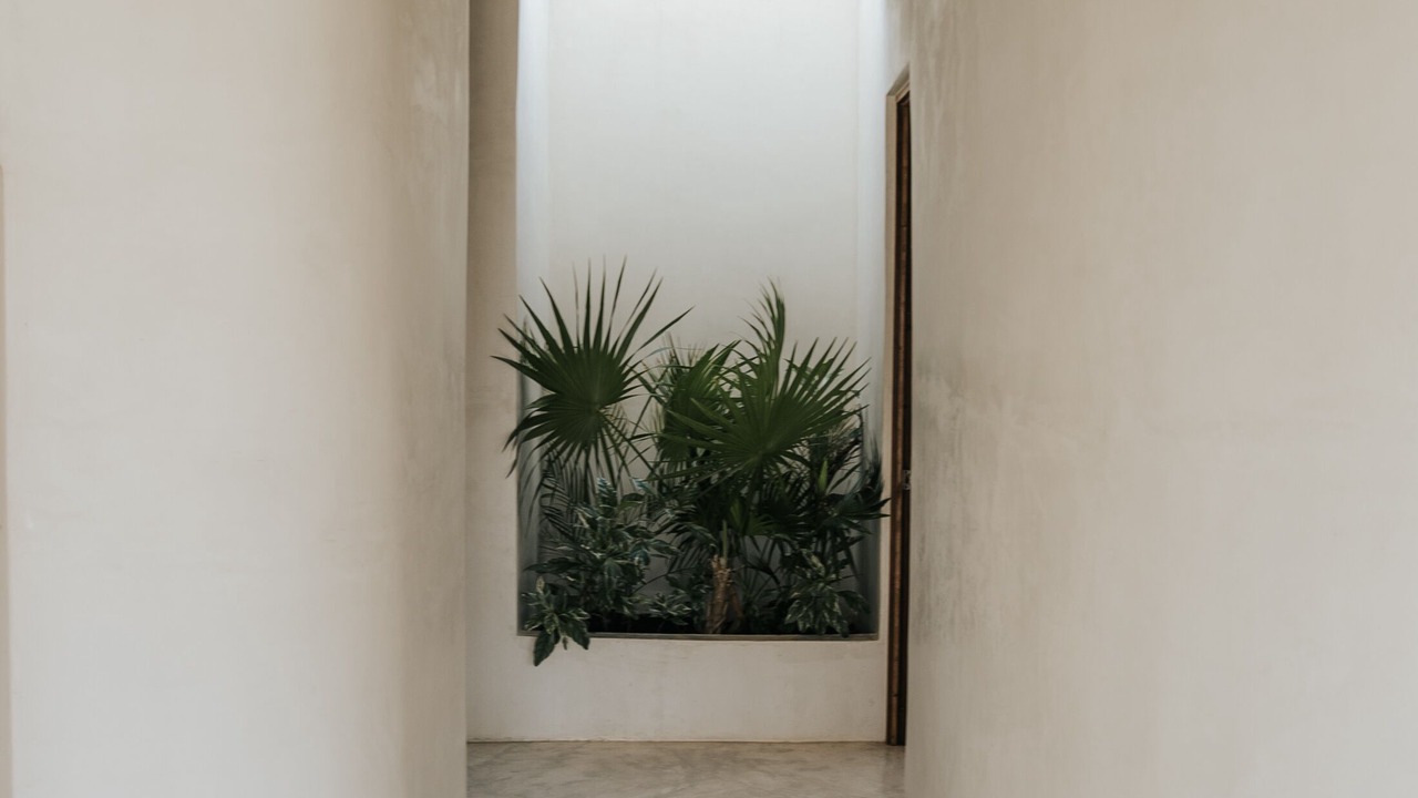 Photo of Others in Zona Hotelera