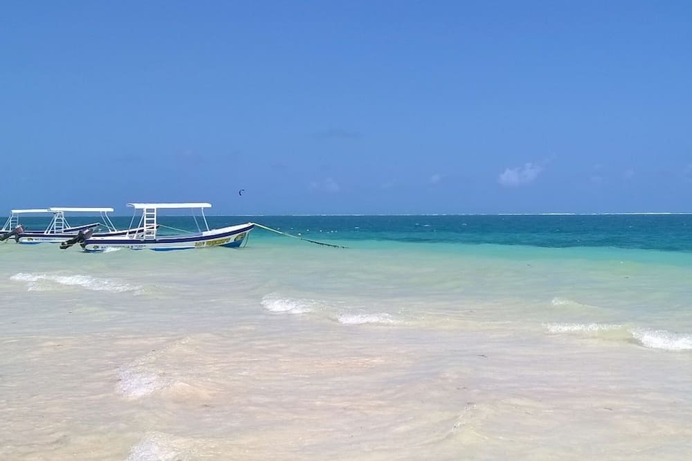 Photo of Others in Puerto Morelos