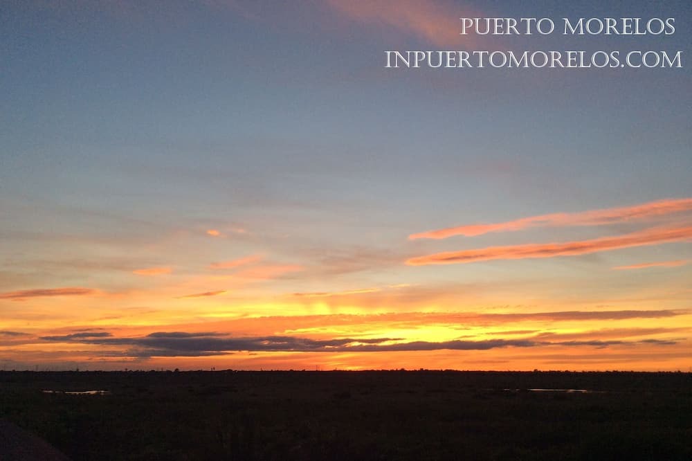 Photo of Others in Puerto Morelos