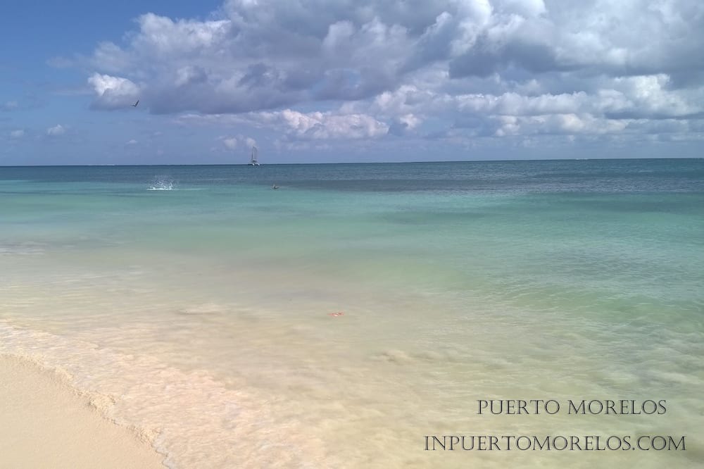Photo of Others in Puerto Morelos