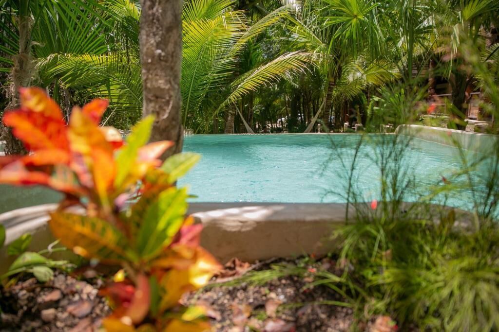 Photo of Outdoor in Buenavista