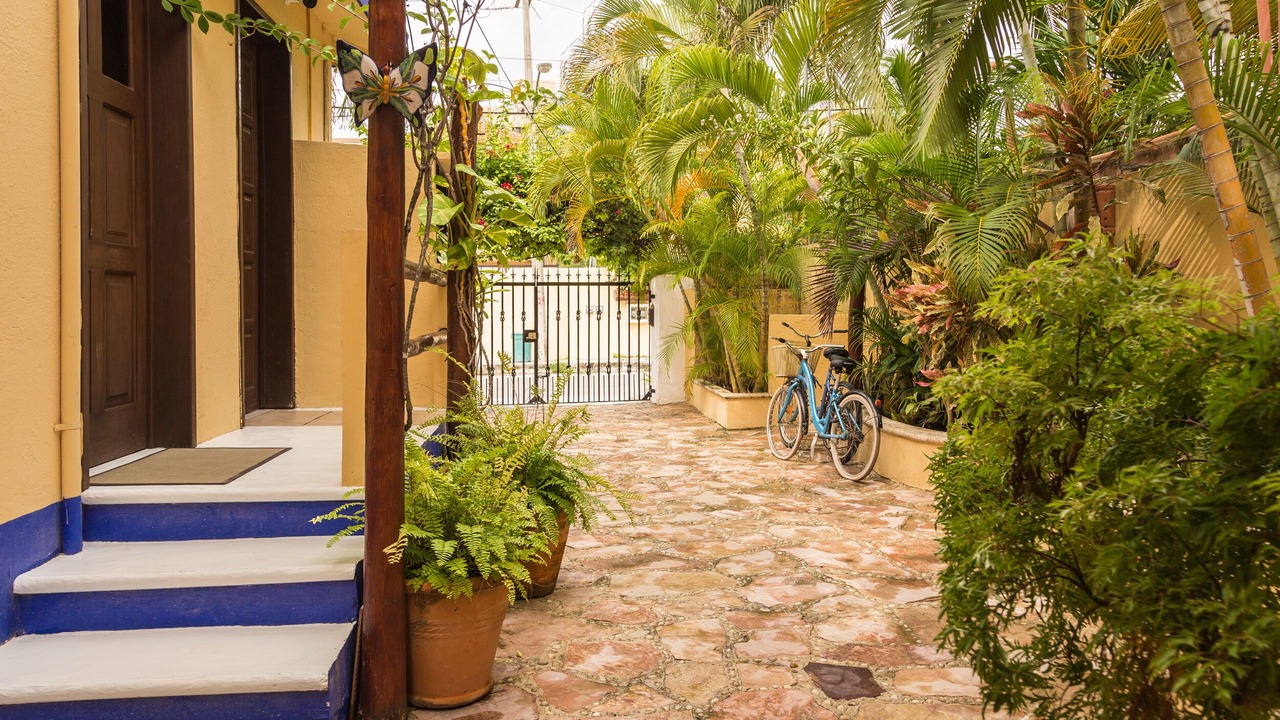 Photo of Outdoor in Puerto Morelos