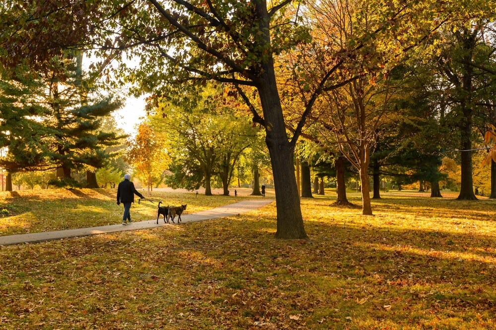 Photo of Outdoor in Near Southside