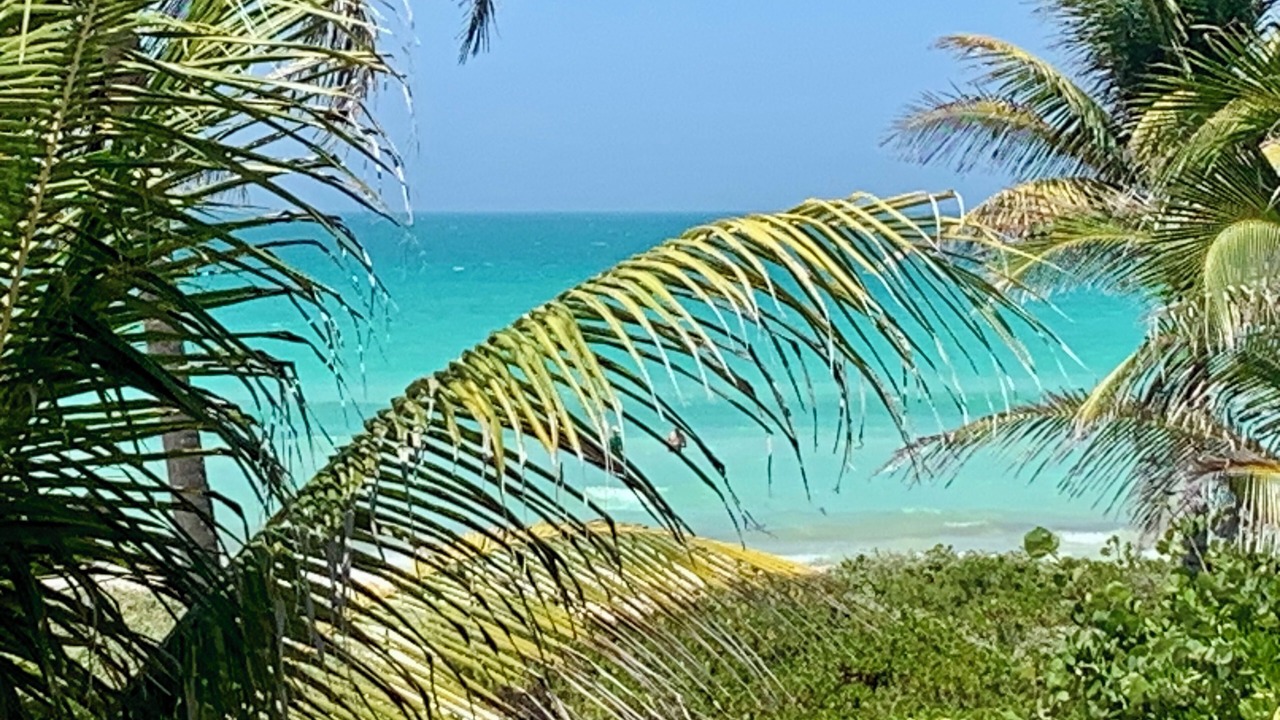 Photo of Outdoor in El Cuyo