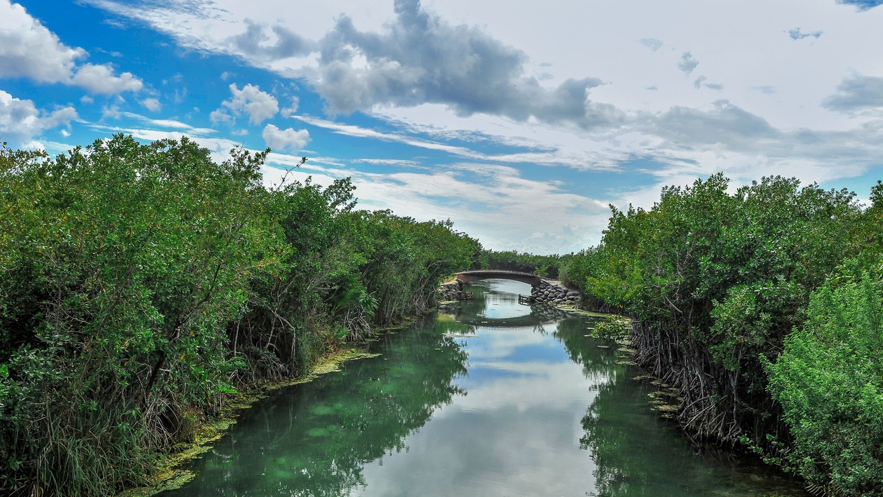 Photo of Outdoor in Mayakoba