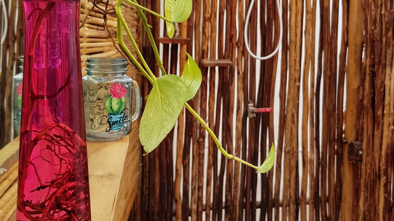 Photo of Bathroom in Bacalar
