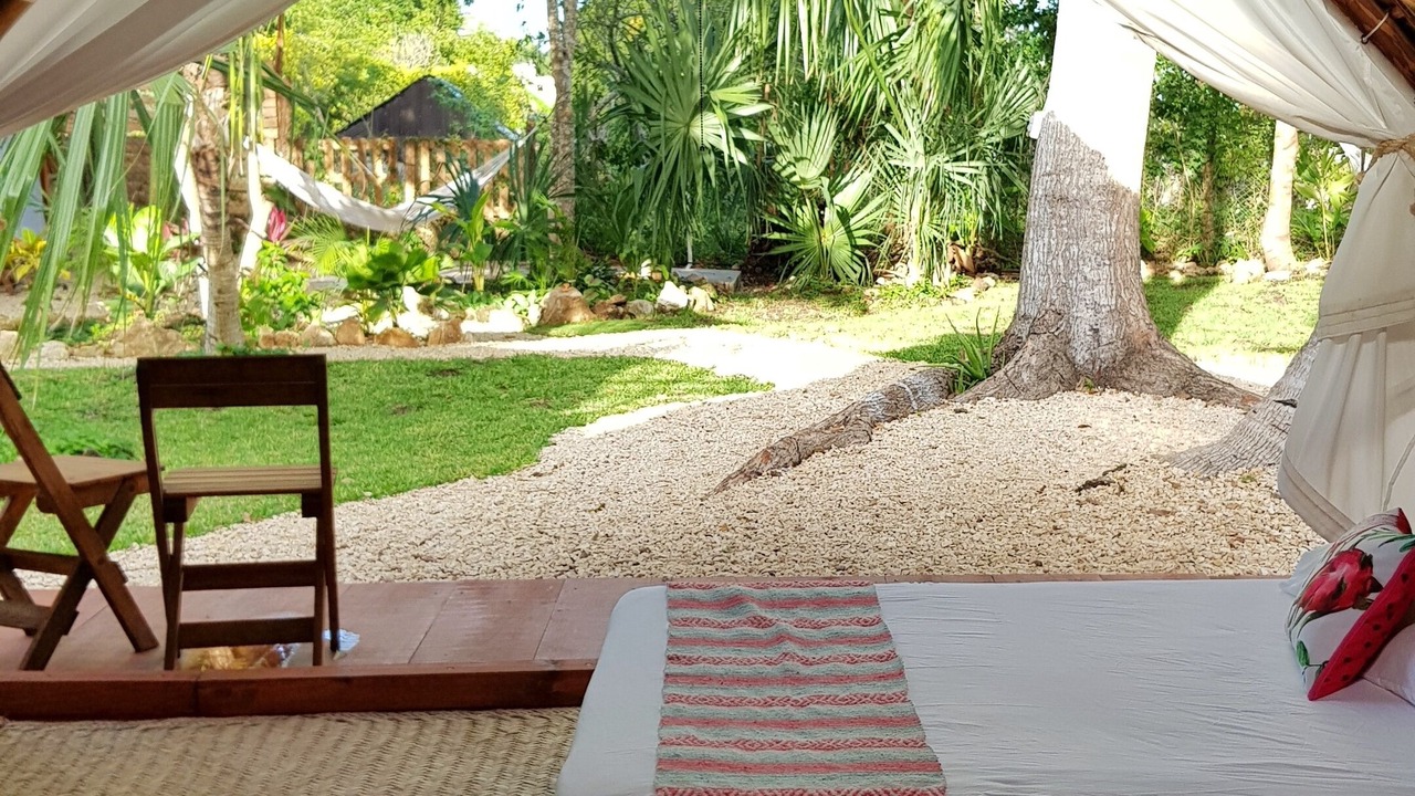 Photo of Others in Bacalar
