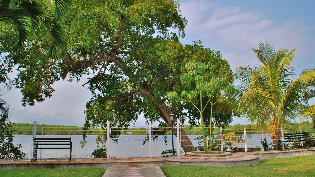 Photo of Outdoor in Santa Elena