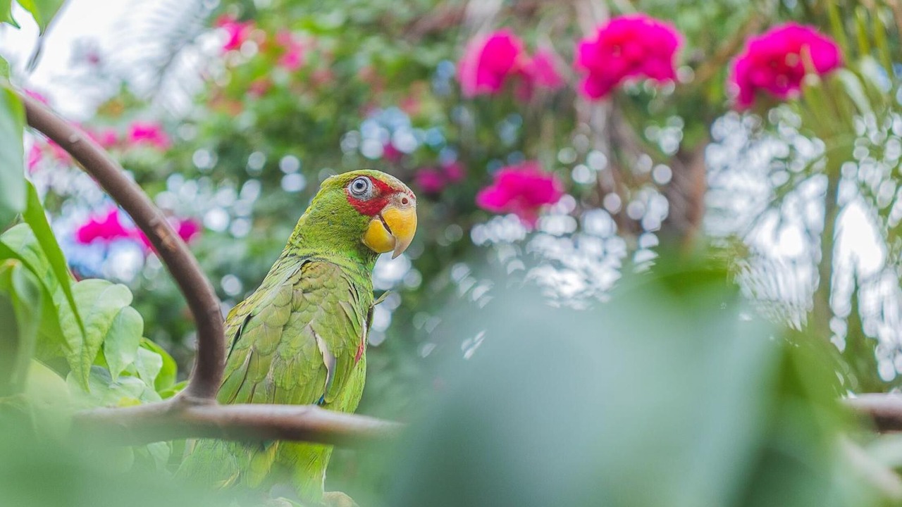 Photo of Outdoor in Santa Elena