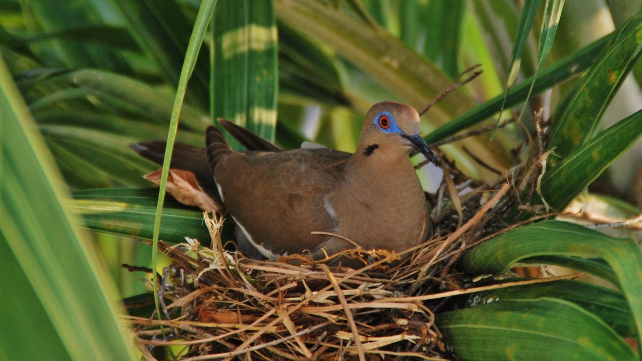 Photo of Outdoor in Santa Elena