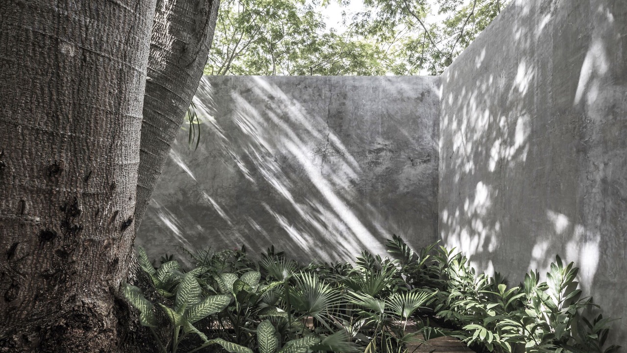 Photo of Outdoor in Mario Villanueva Madrid