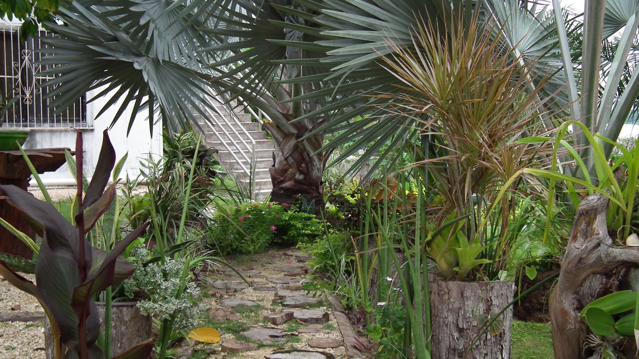 Photo of Outdoor in Xul-Ha