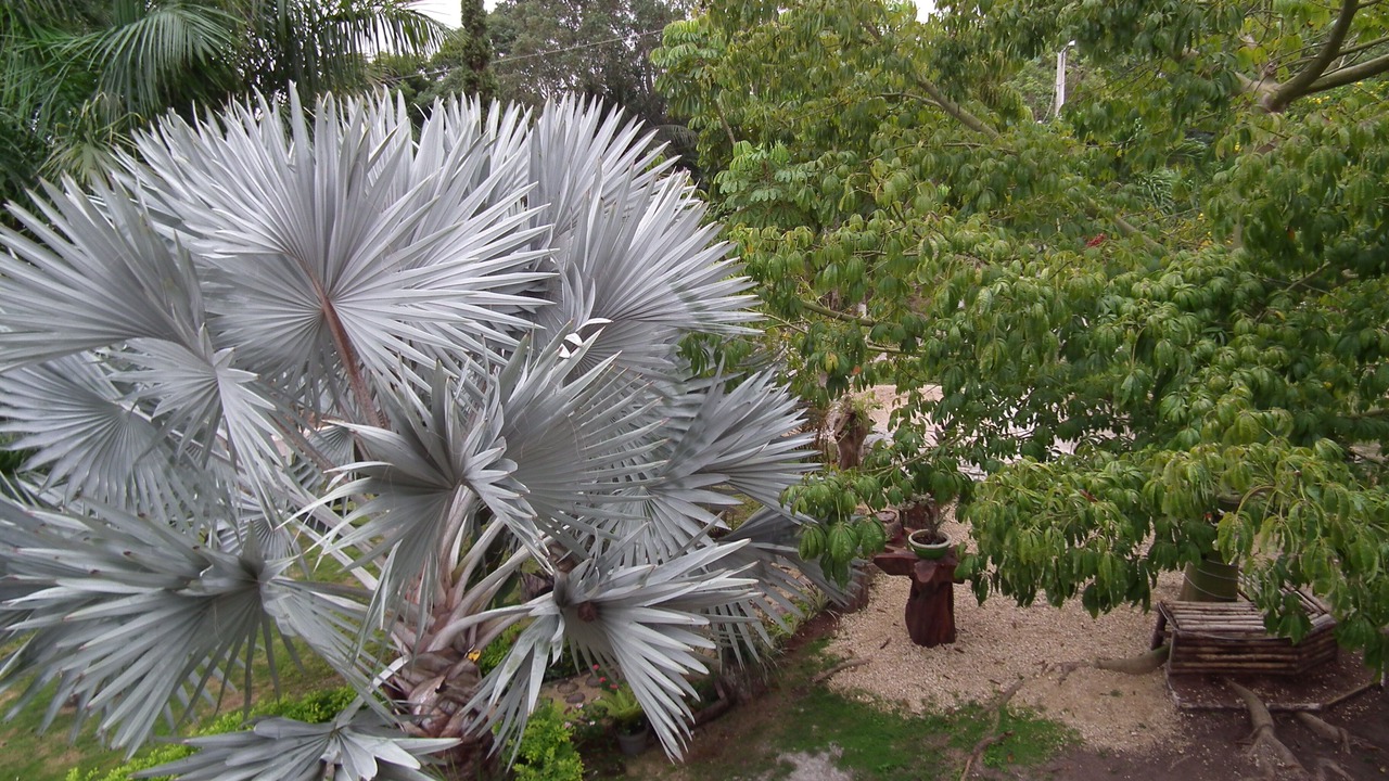 Photo of Outdoor in Xul-Ha