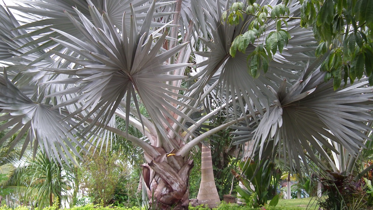 Photo of Outdoor in Xul-Ha
