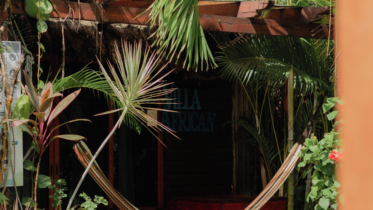 Photo of Outdoor in Chetumal