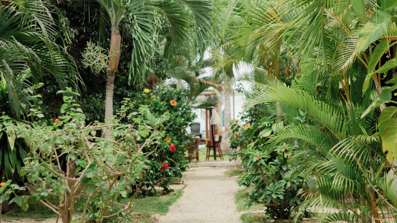 Photo of Others in Chetumal