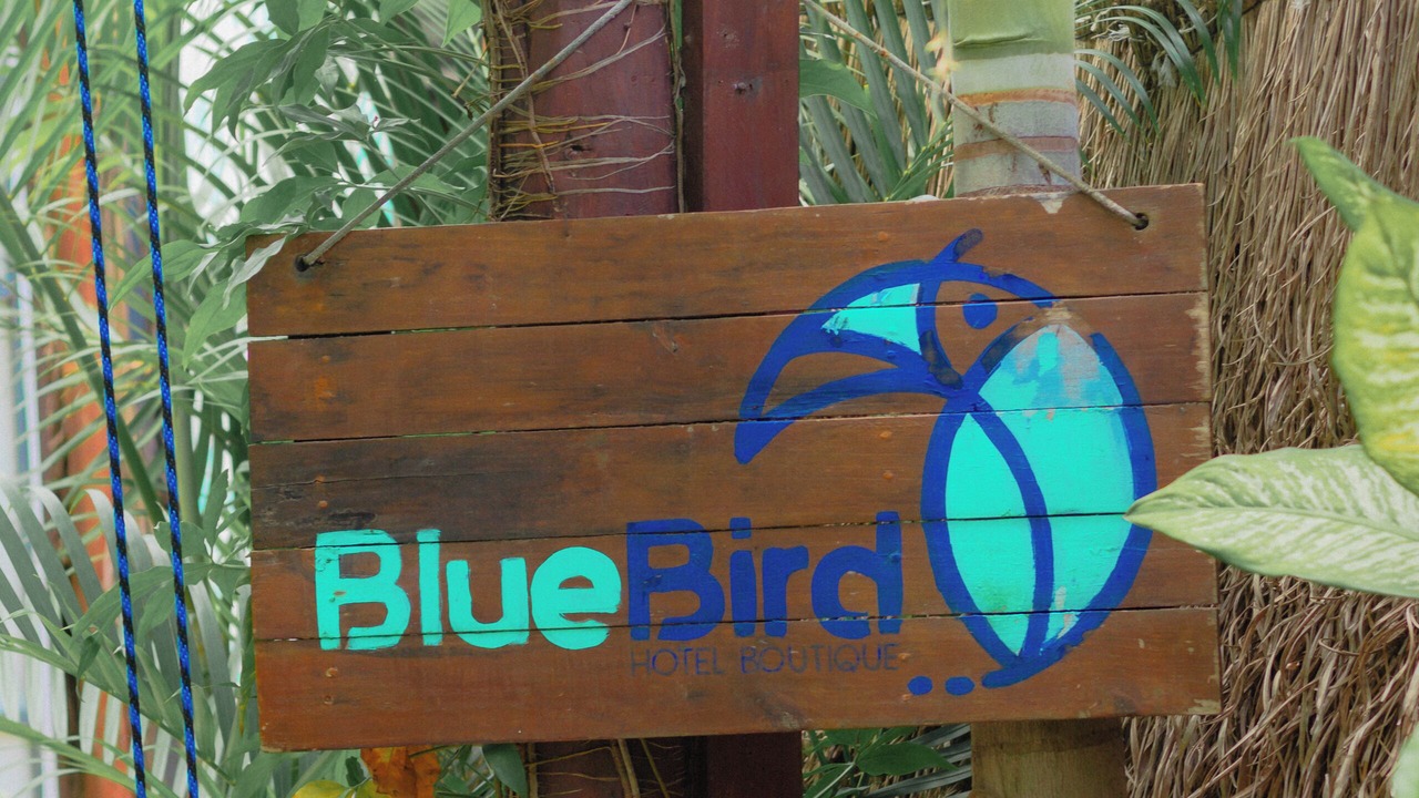 Photo of Outdoor in Chetumal