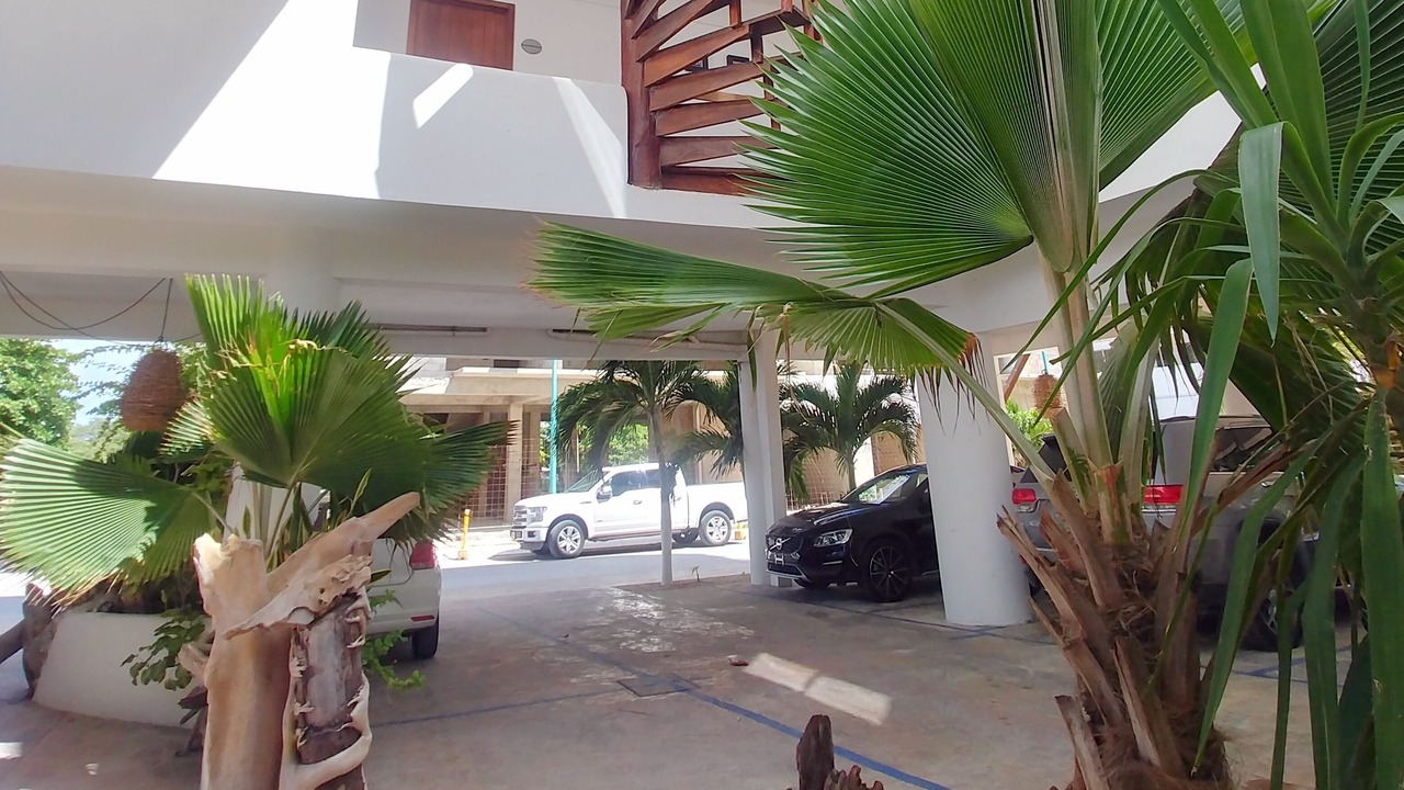 Photo of Others in Mahahual